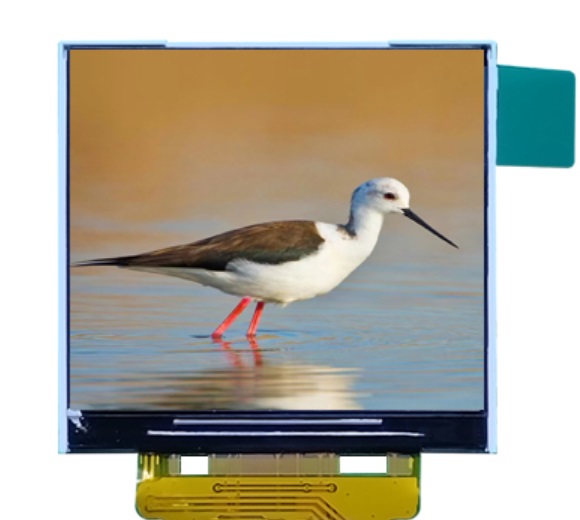 1.54 inch Square TFT Display