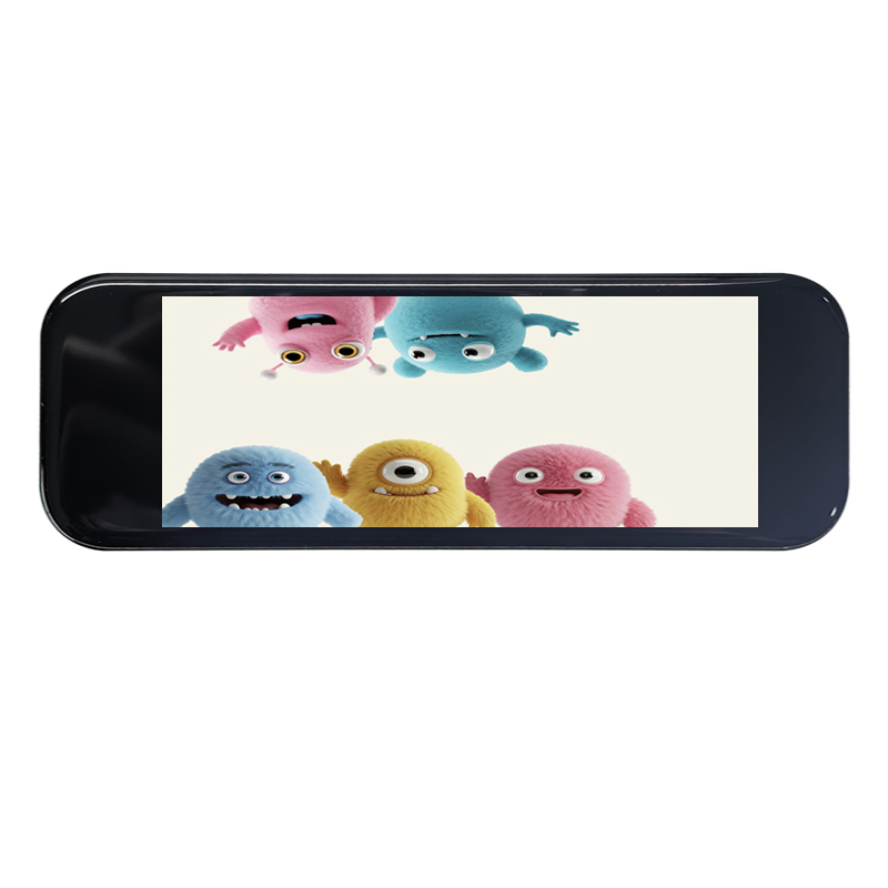 2.9 inch Touch Display Module 376*960