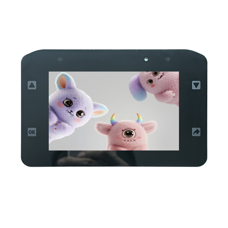 Automotive 5.0 inch 1024*600 IPS TFT  Custom Cover Glass